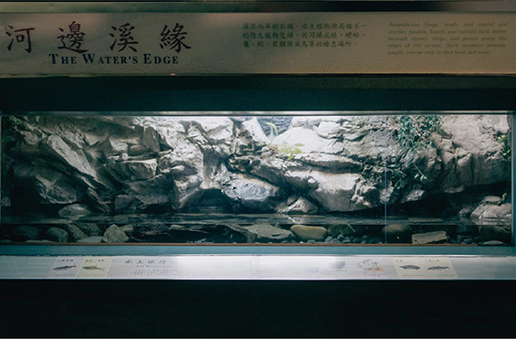 体验型展厅设计_台湾屏东海洋生物博物馆一期 台湾水域馆